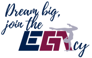 Leading Edge Gymnastics Academy